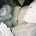 Elizabeth Pyles Photo 25