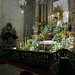 Domenico Romeo Photo 24