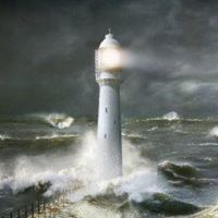 Terry Venable Photo 17