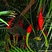 Dale Phipps Photo 27