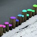 Timothy Snow Photo 11