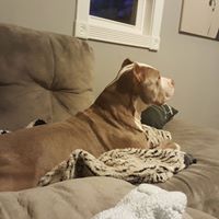 Robert Mcgill Photo 26