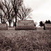 Nancy Kenyon Photo 23