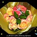 Kristin Rose Photo 10