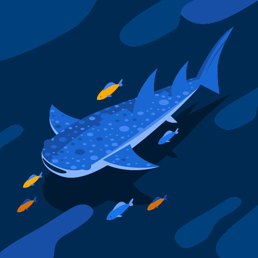 Jose Fuentes Photo 53