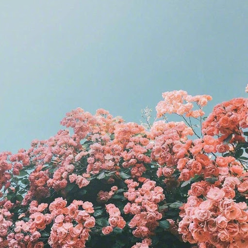 Tracy Flanagan Photo 27