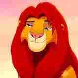 Thomas Alley Photo 27