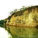 Francisco Rios Photo 18