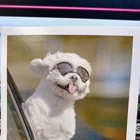 Thelma Russell Photo 16