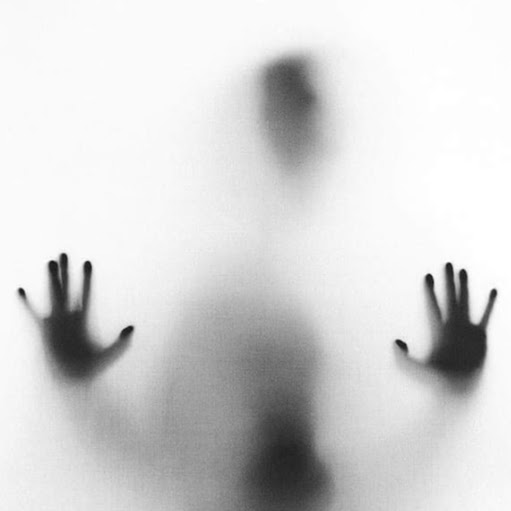 Richard Noland Photo 37