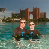 Scott Lindsay Photo 25