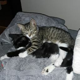 Kristine Jackson Photo 31