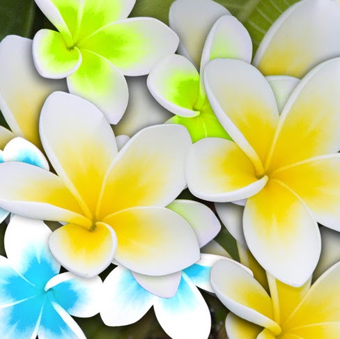 Nancy Adamson Photo 25