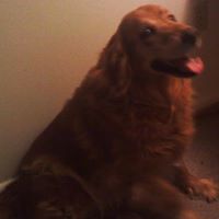 Patrick Blake Photo 15