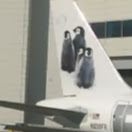 Nicole Cheek Photo 4