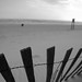 Rodney Sims Photo 19