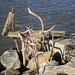 Tony Smithson Photo 16