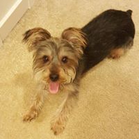 Billy Chandler Photo 8 Billy Chandler Photo 8