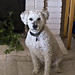 Shelley Scott Photo 44
