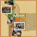 Tracey Schneider Photo 15