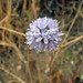 Sam Merrill Photo 10