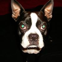 Benita Scott Photo 4