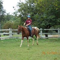 Vickie Wilkinson Photo 10