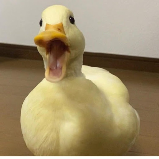 Ronald Silva Photo 40