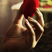 Soo Ha Photo 21