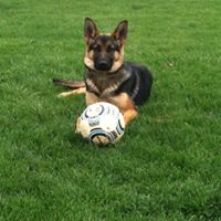 Sarah Antrobus Photo 16