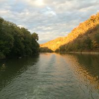 David Beasley Photo 45