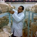Mohamed Hamed Photo 35