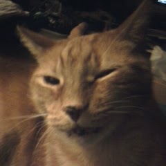 Cheryl Hartman Photo 26