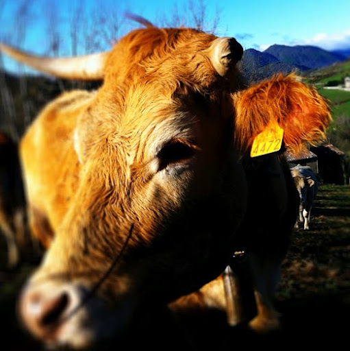 Rebecca Bowden Photo 5