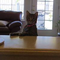 Deborah Ewing Photo 14