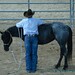 Clinton Anderson Photo 36