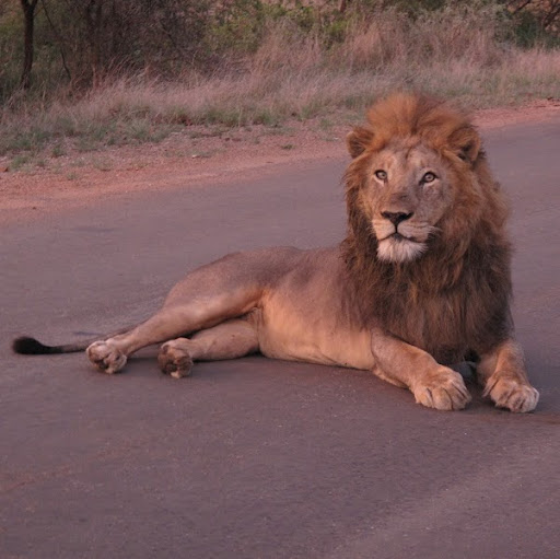 Greg Leslie Photo 33