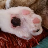 Tracy Gerlach Photo 15