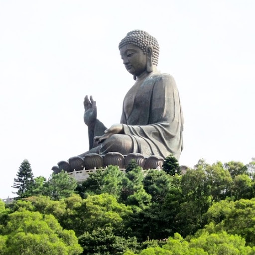 Daniel Mcmichael Photo 5