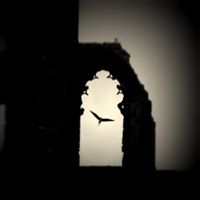 Hassan Zeitoun Photo 6