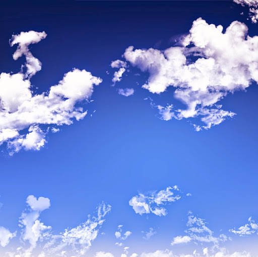 Martin Hayes Photo 47 Martin Hayes Photo 47