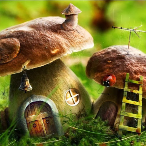 Barry Armstrong Photo 23