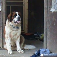 Paula Kilgore Photo 11