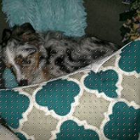 Stefanie Hahn Photo 8