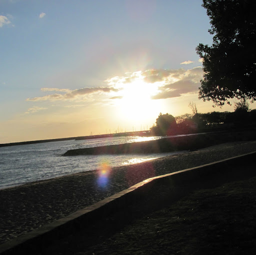 Stacy Carter Photo 36