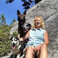 Suzi Stephens Photo 10