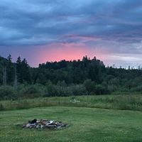 Michele Browning Photo 18