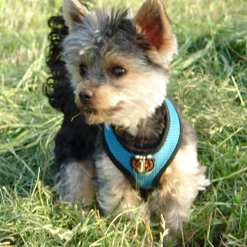 Jerry Peter Photo 15