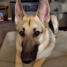 Debbie Stephenson Photo 17