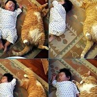 Chung Leung Photo 27